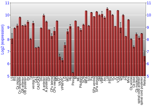 Expression graph