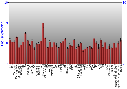 Expression graph