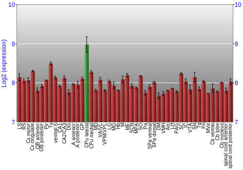 Multi-state expression graph