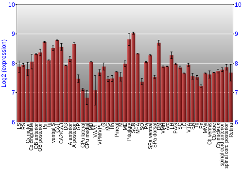 Expression graph