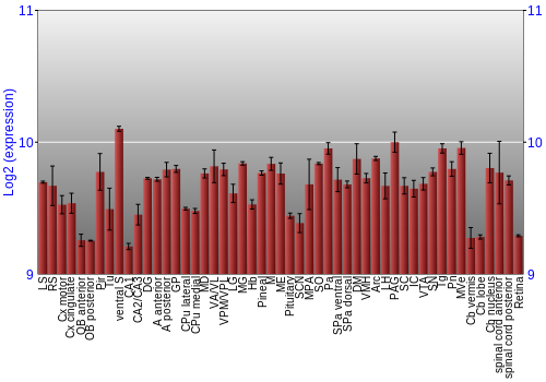 Expression graph