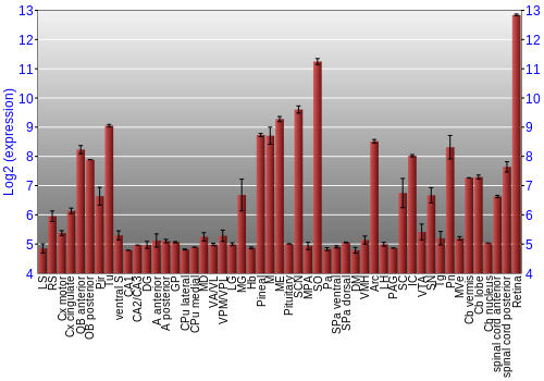 Expression graph