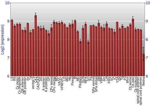 Expression graph