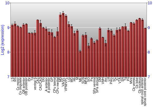 Multi-state expression graph