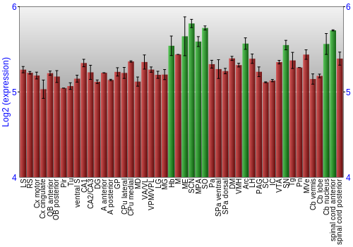 Multi-state expression graph