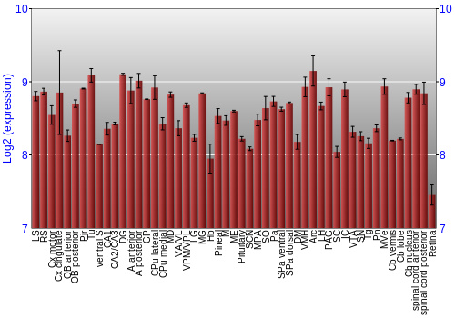Expression graph