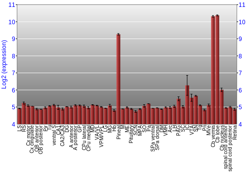 Expression graph
