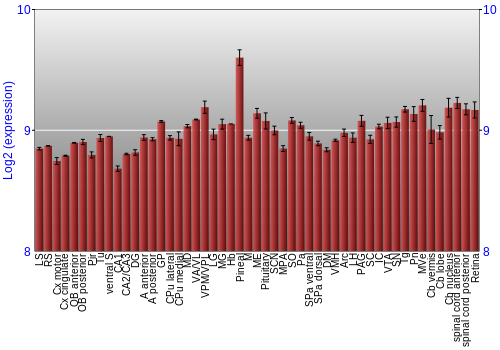 Expression graph