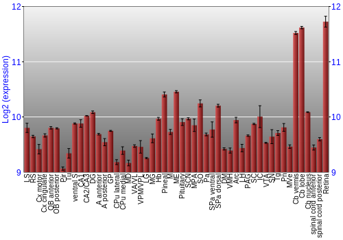 Expression graph