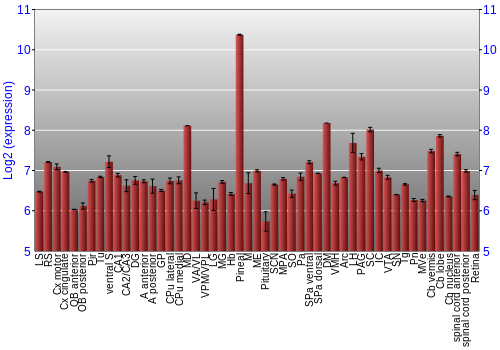 Expression graph