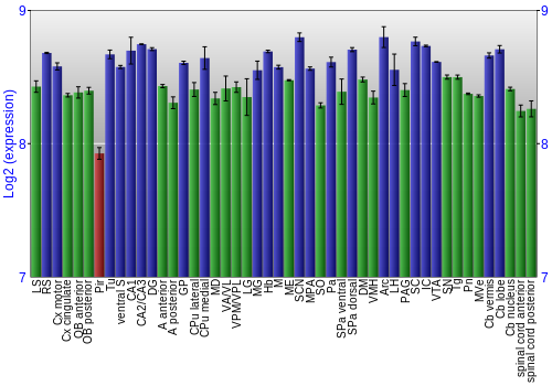 Multi-state expression graph