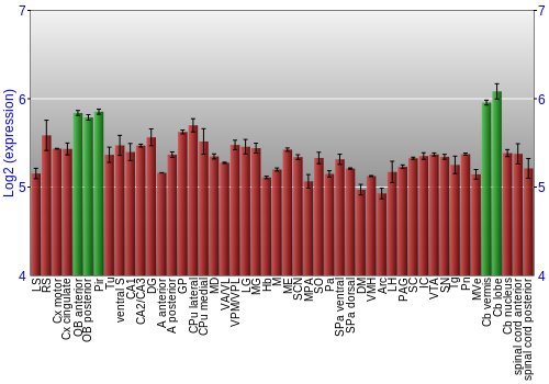 Multi-state expression graph