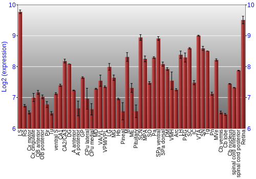 Expression graph