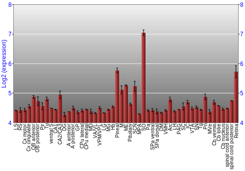Expression graph