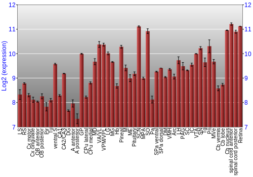 Expression graph