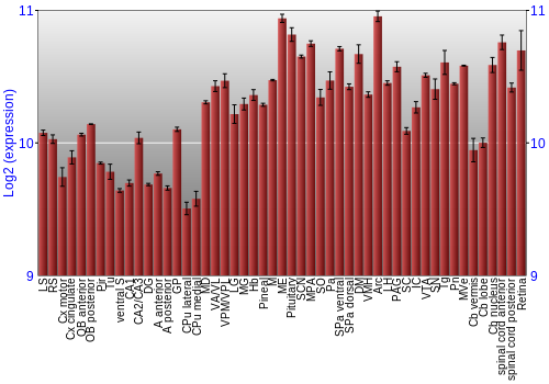 Expression graph