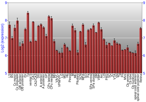 Expression graph