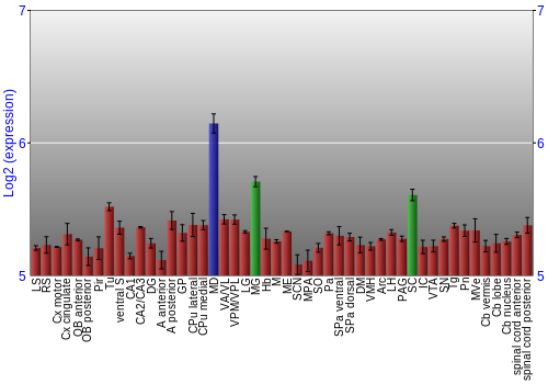 Multi-state expression graph