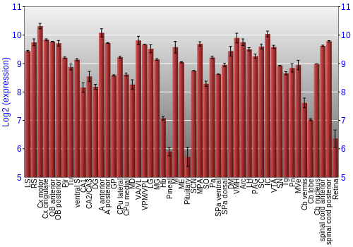 Expression graph