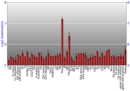 Expression graph