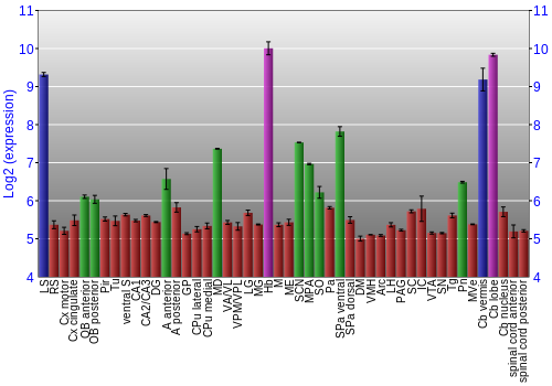 Multi-state expression graph