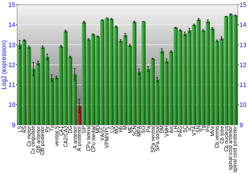 Multi-state expression graph
