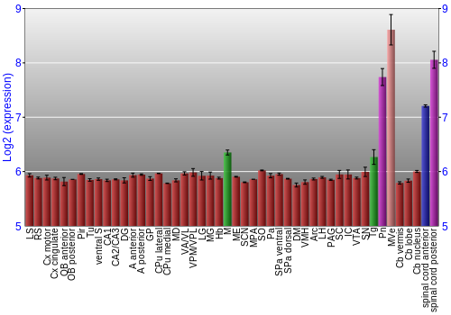Multi-state expression graph