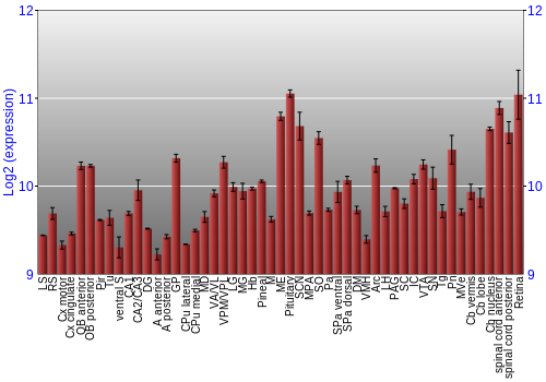 Expression graph