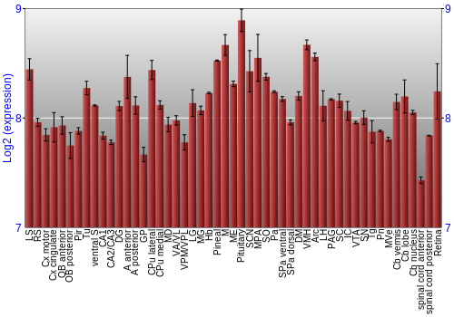 Expression graph