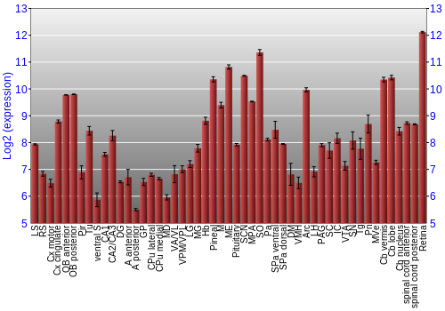 Expression graph