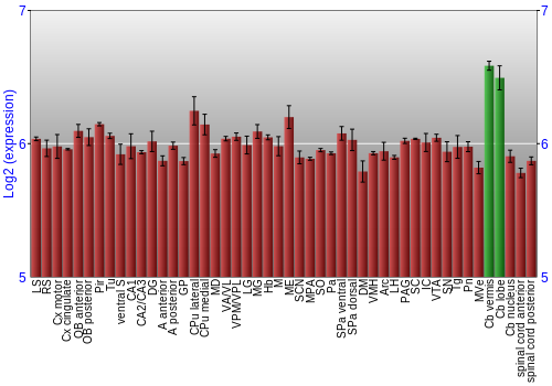 Multi-state expression graph