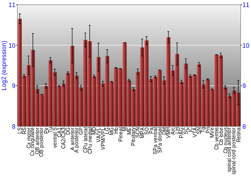 Expression graph