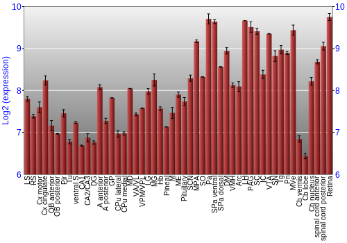 Expression graph