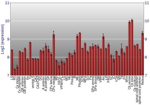 Expression graph