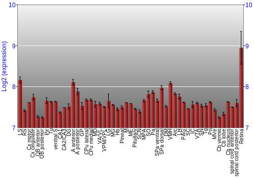Expression graph