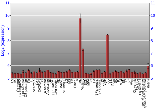 Expression graph
