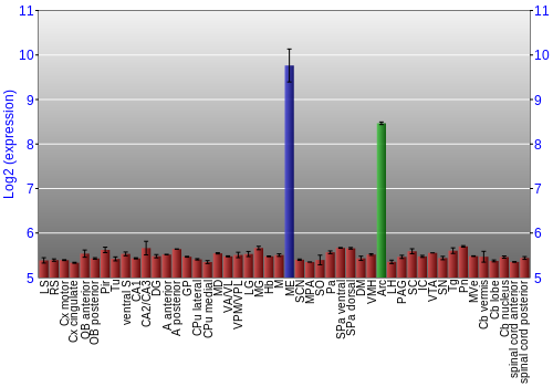 Multi-state expression graph