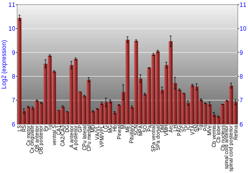 Expression graph