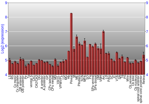 Expression graph