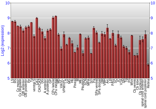 Expression graph