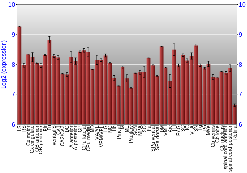 Expression graph