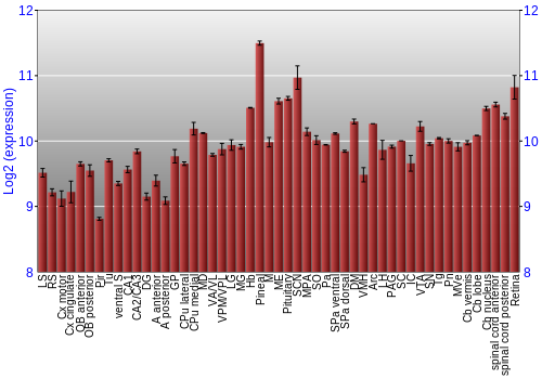 Expression graph
