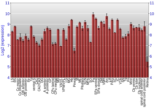 Expression graph