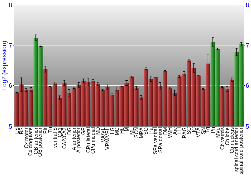 Multi-state expression graph
