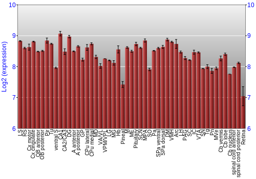 Expression graph