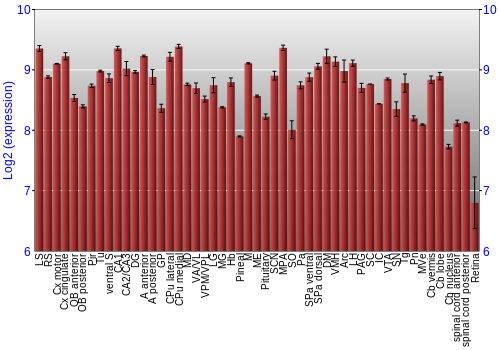 Expression graph