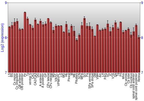 Expression graph