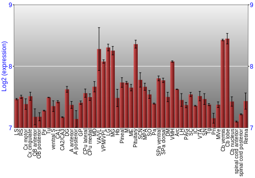 Expression graph