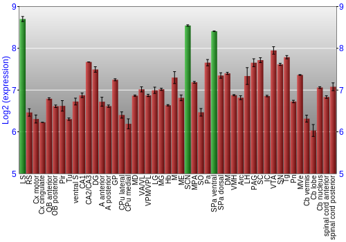 Multi-state expression graph