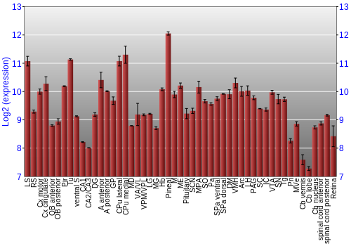 Expression graph
